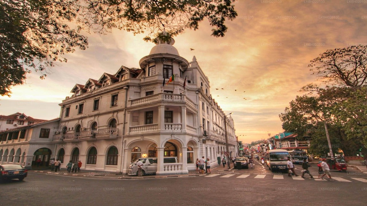 Kandy City Tuk Tuk Safari