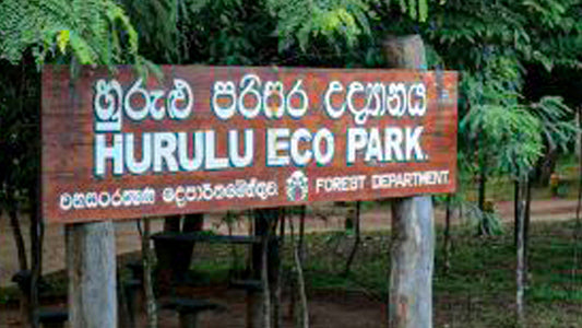 Hurulu Eco Park sissepääsupiletid