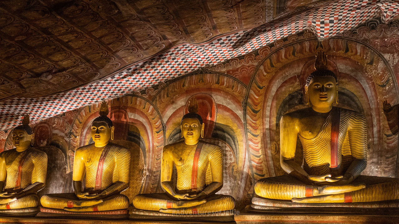 Dambulla Cave Temple Sissepääsupiletid