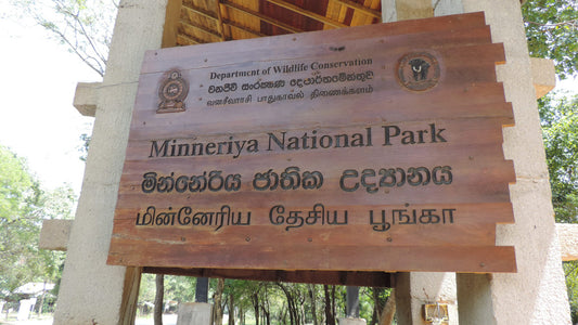 Minneriya rahvuspargi sissepääsupilet