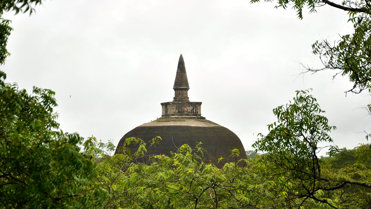 Polonnaruwa Ancient City sissepääsupiletid