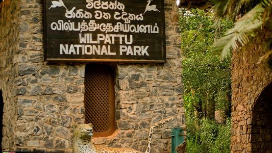 Wilpattu rahvuspargi sissepääsupiletid