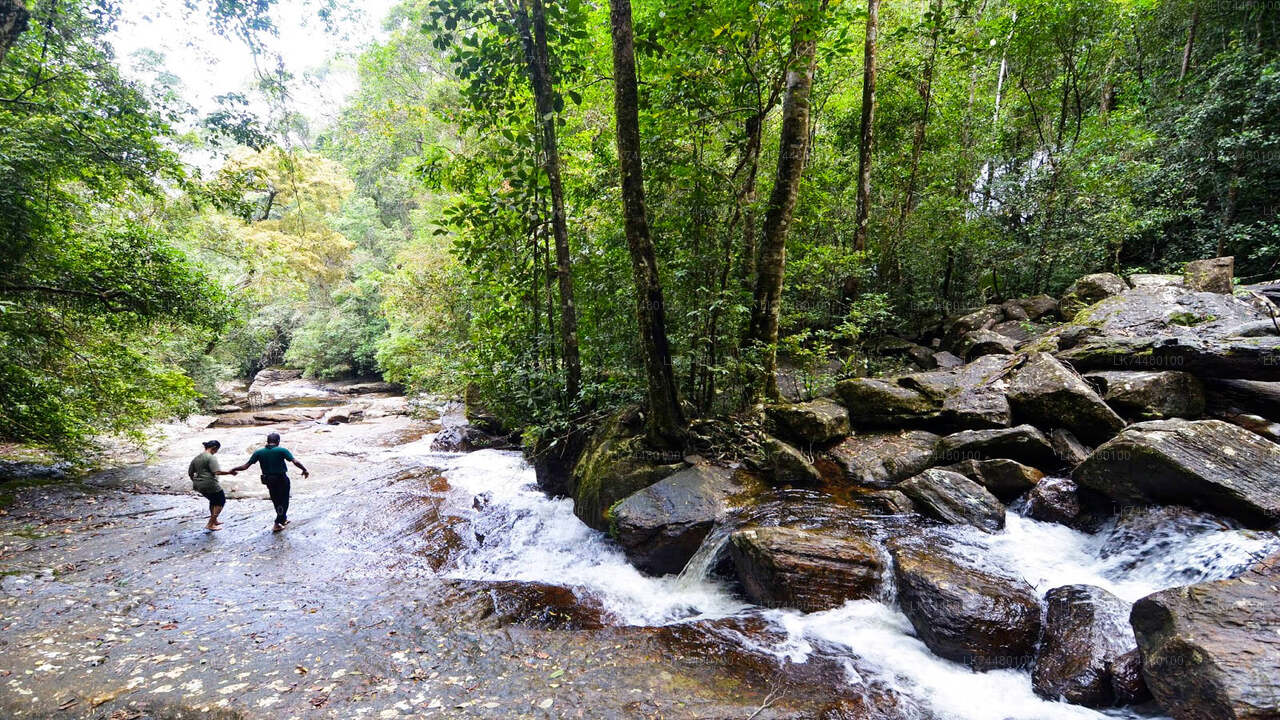 Sinharaja vihmametsade jalutuskäik