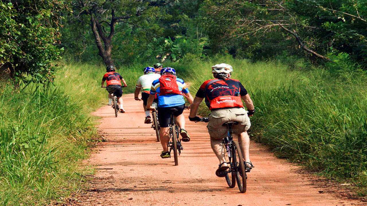 Balana lahinguväljal rattasõit Kandy