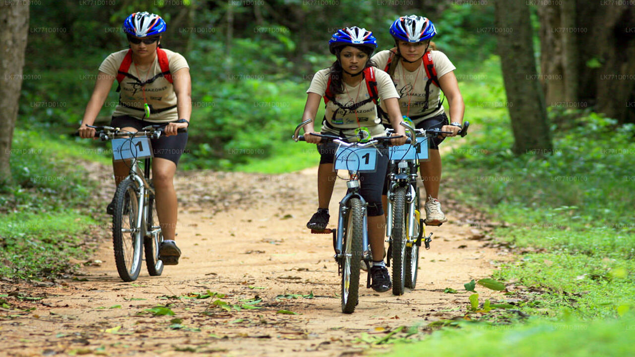 Cycling from Kitulgala