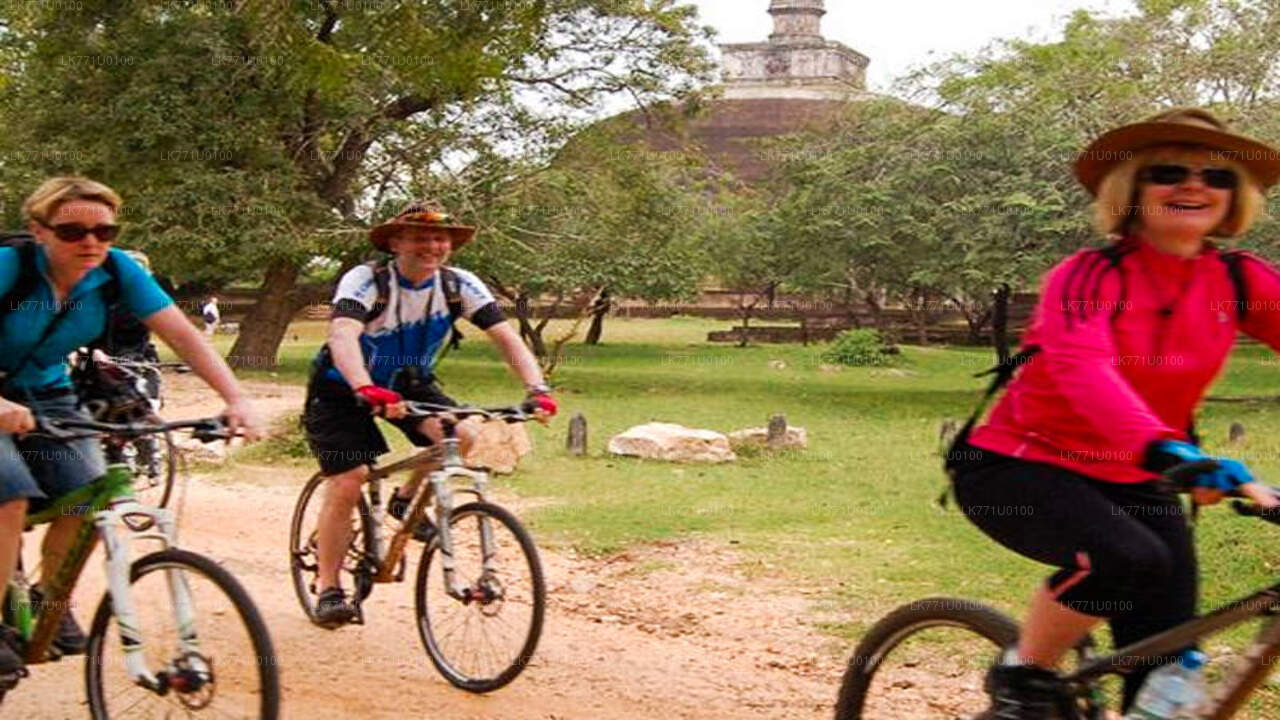 Jalgrattasport läbi iidse varemed Polonnaruwa