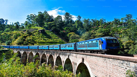 Nanu Oya to Kandy train ride on (Train No: 1006 "Podi Menike")