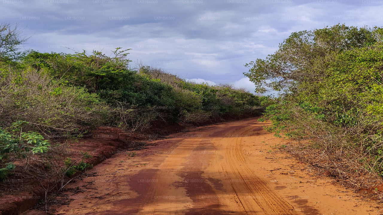 Bundala rahvuspark Safari Hambantota meresadamast