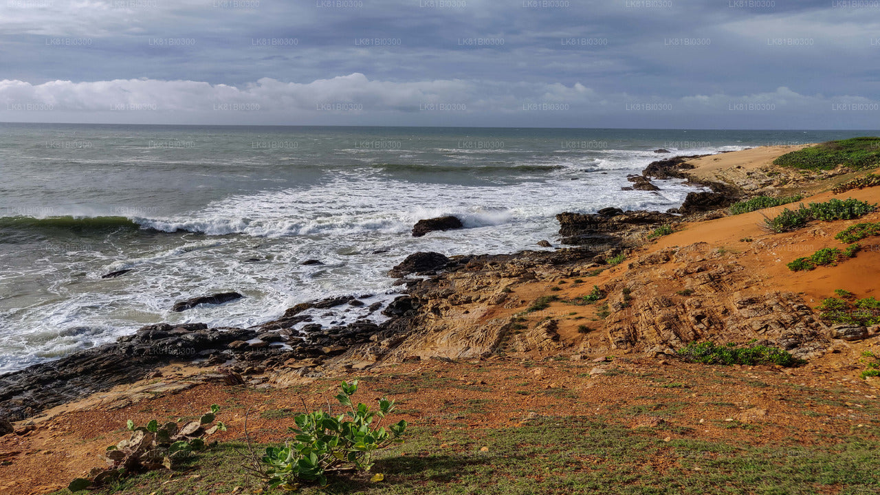 Bundala rahvuspark Safari Hambantota meresadamast