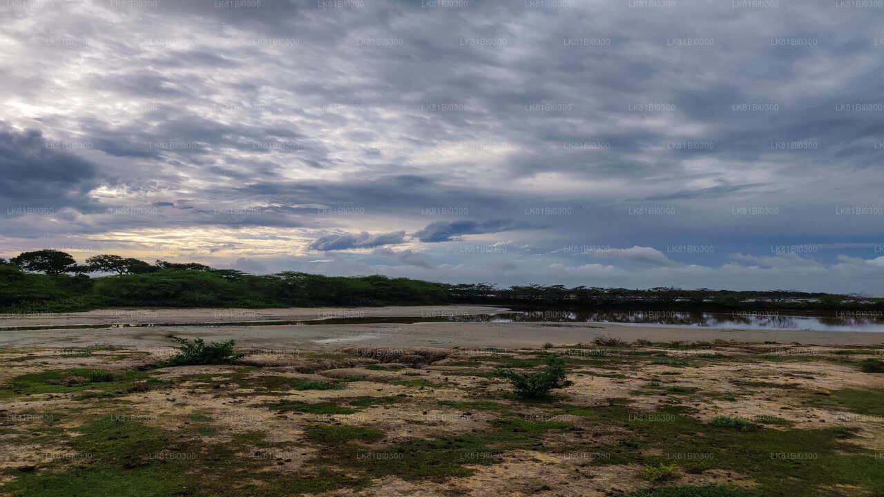 Bundala rahvuspark Safari Hambantota meresadamast