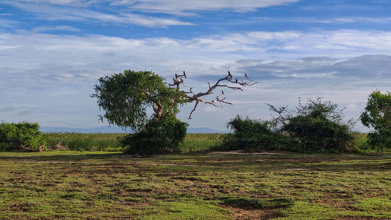 Bundala rahvuspark Safari Hambantota meresadamast