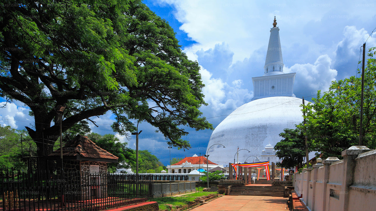 Vaimne kogemus Anuradhapura