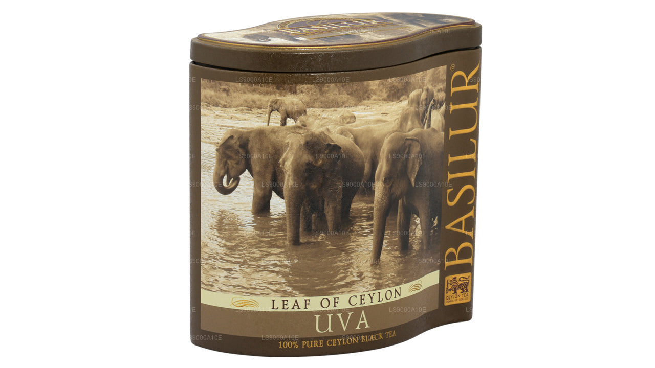 Basiluur Tseiloni leht „Uva” (100g) Caddy